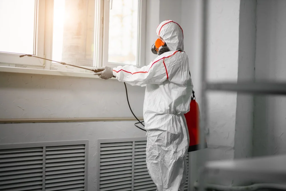 Professional mold remediation services in Chilton, WI